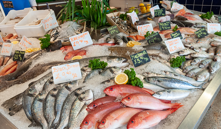 A1 Fishmonger Image for Fresh Fish price list -Website Builder, Simple Website, Fresh seafood,  Sustainable fishing, Easy Website, New Website, Tec-Nut.com Websites, New Company, Free Website, easy website, Best Website Builder, Free Website